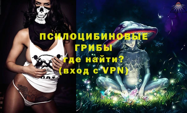 ГАЛЛЮЦИНОГЕННЫЕ ГРИБЫ Вязьма